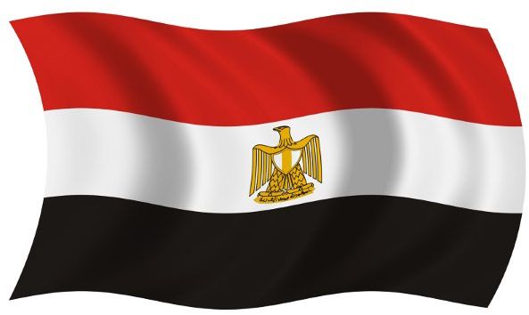 صور علم مصر (21)