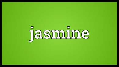 معنى اسم جاسمين