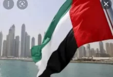 أهم المعارض السنوية التي تقام في دولة الكويت