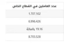 جدول يوضح عدد موظفي القطاع الحكومي والخاص في المملكة