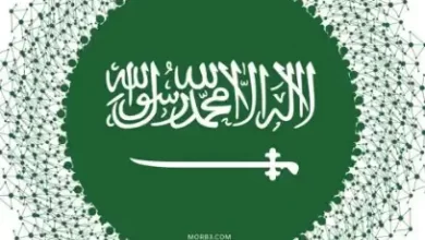 علم المملكة العربية السعودية بدقة عالية