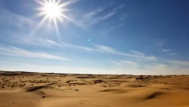أبرز المناطق الرملية في المملكة العربية السعودية
