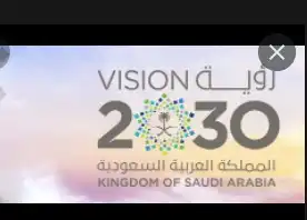 بحث عن رؤية 2030